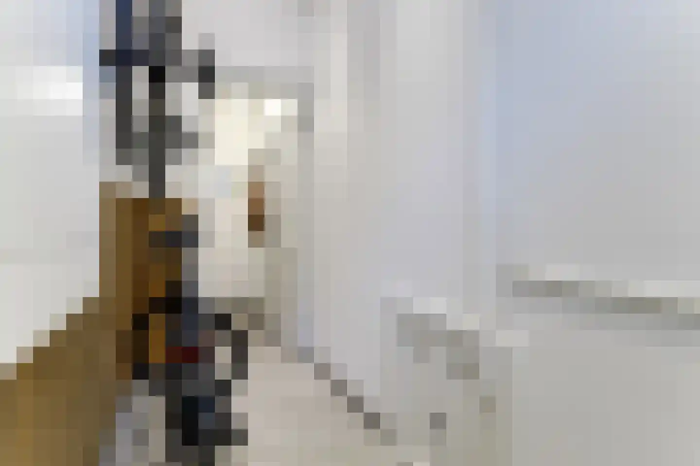 Grote Noord 8 Hoorn thumbnail 6