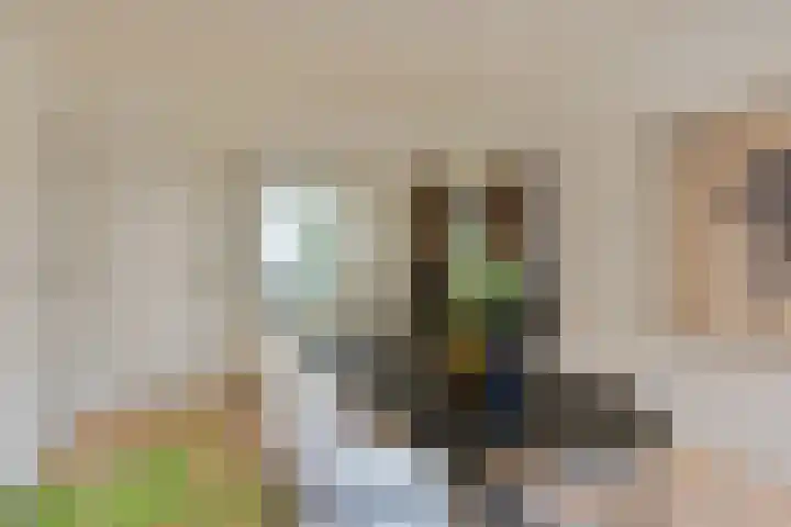 Grote Oost 14 Hoorn thumbnail 12