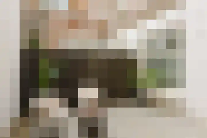 Grote Oost 14 Hoorn thumbnail 14