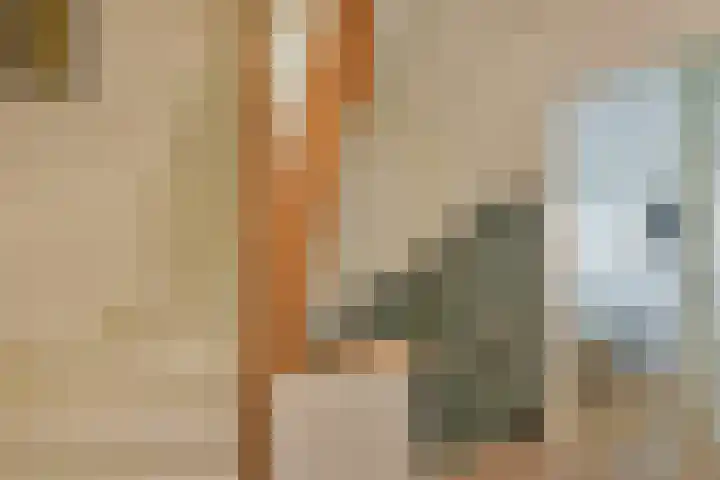 Grote Oost 14 Hoorn thumbnail 19