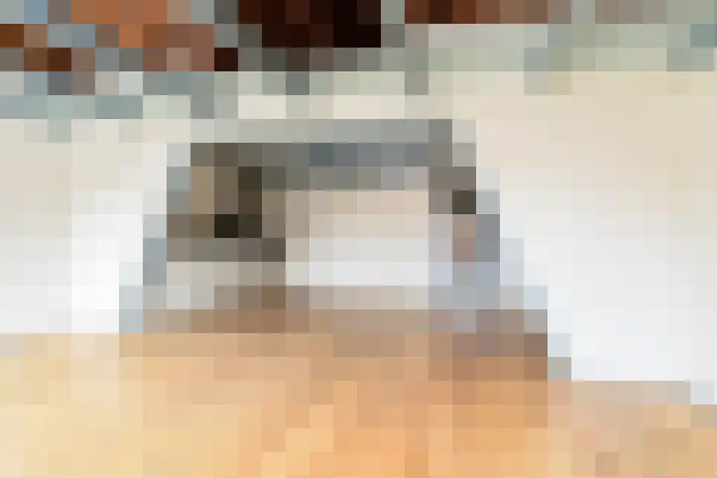 Grote Oost 2 D Hoorn thumbnail 4