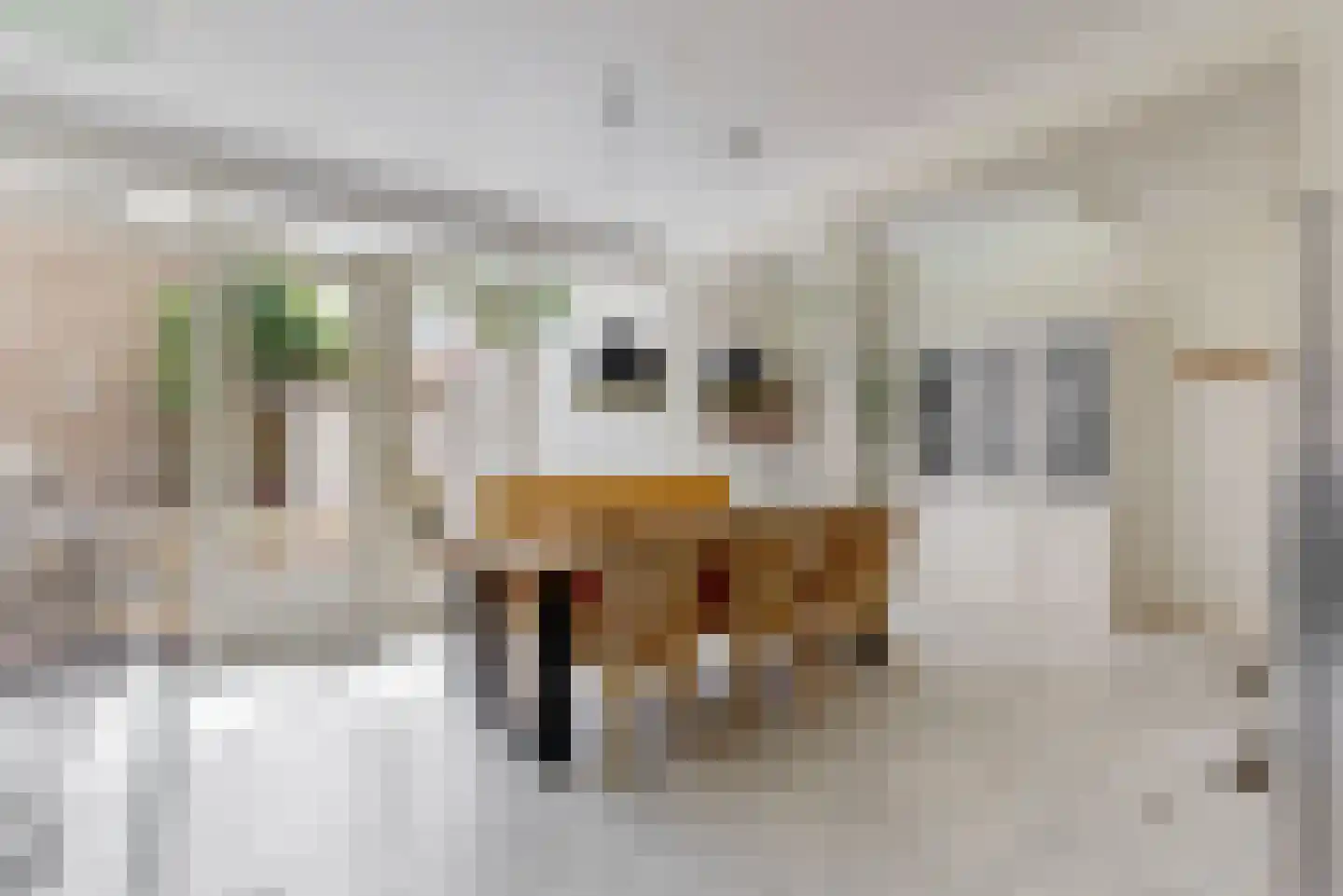 Grote Oost 54 Hoorn thumbnail 12
