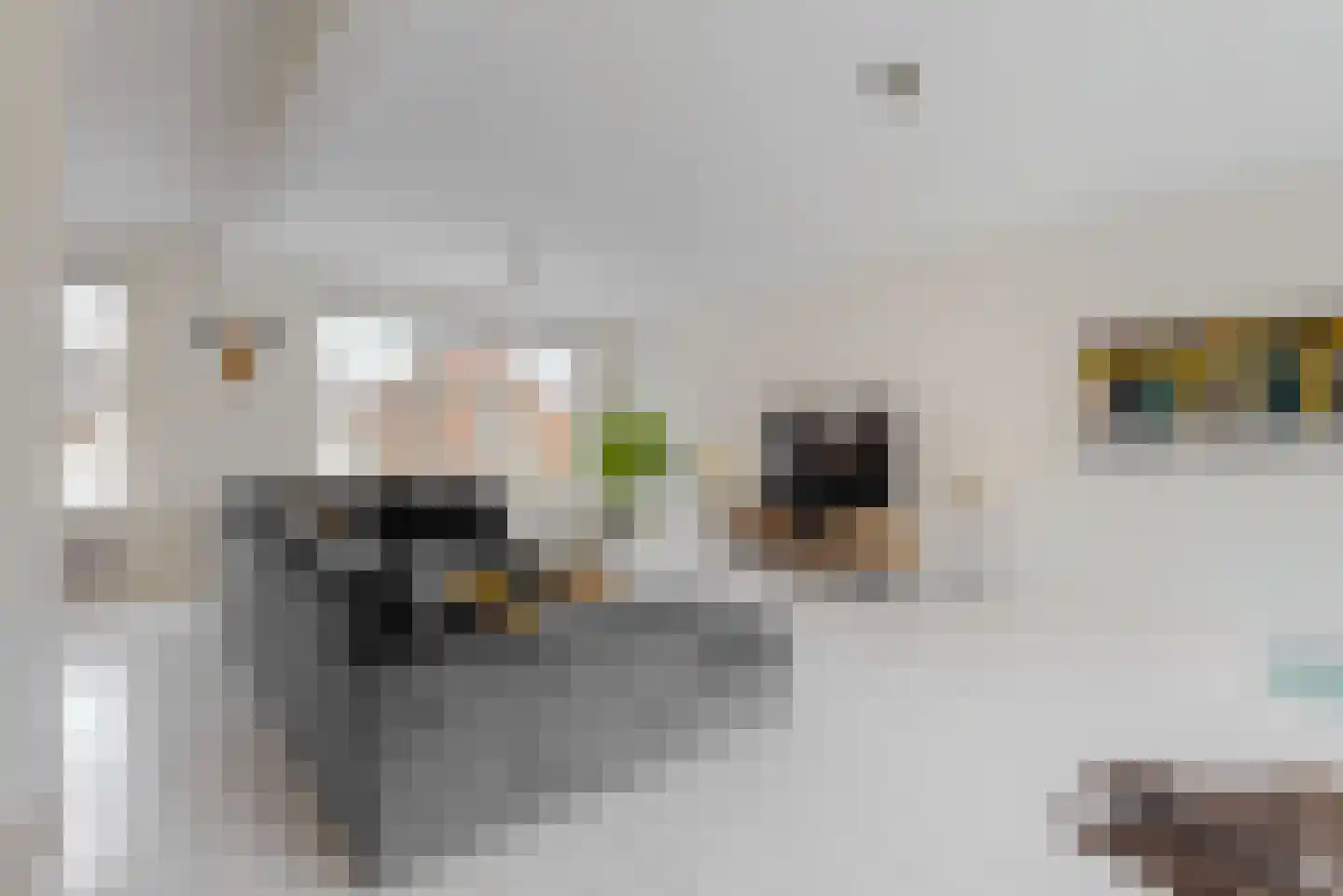 Grote Oost 54 Hoorn thumbnail 17