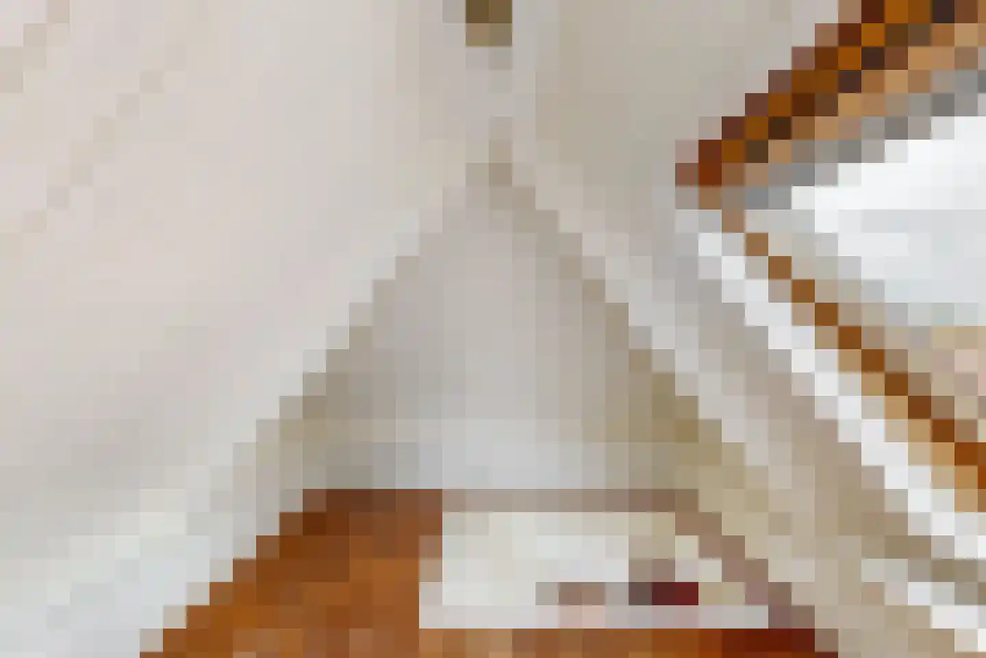 Grote Oost 54 Hoorn thumbnail 29