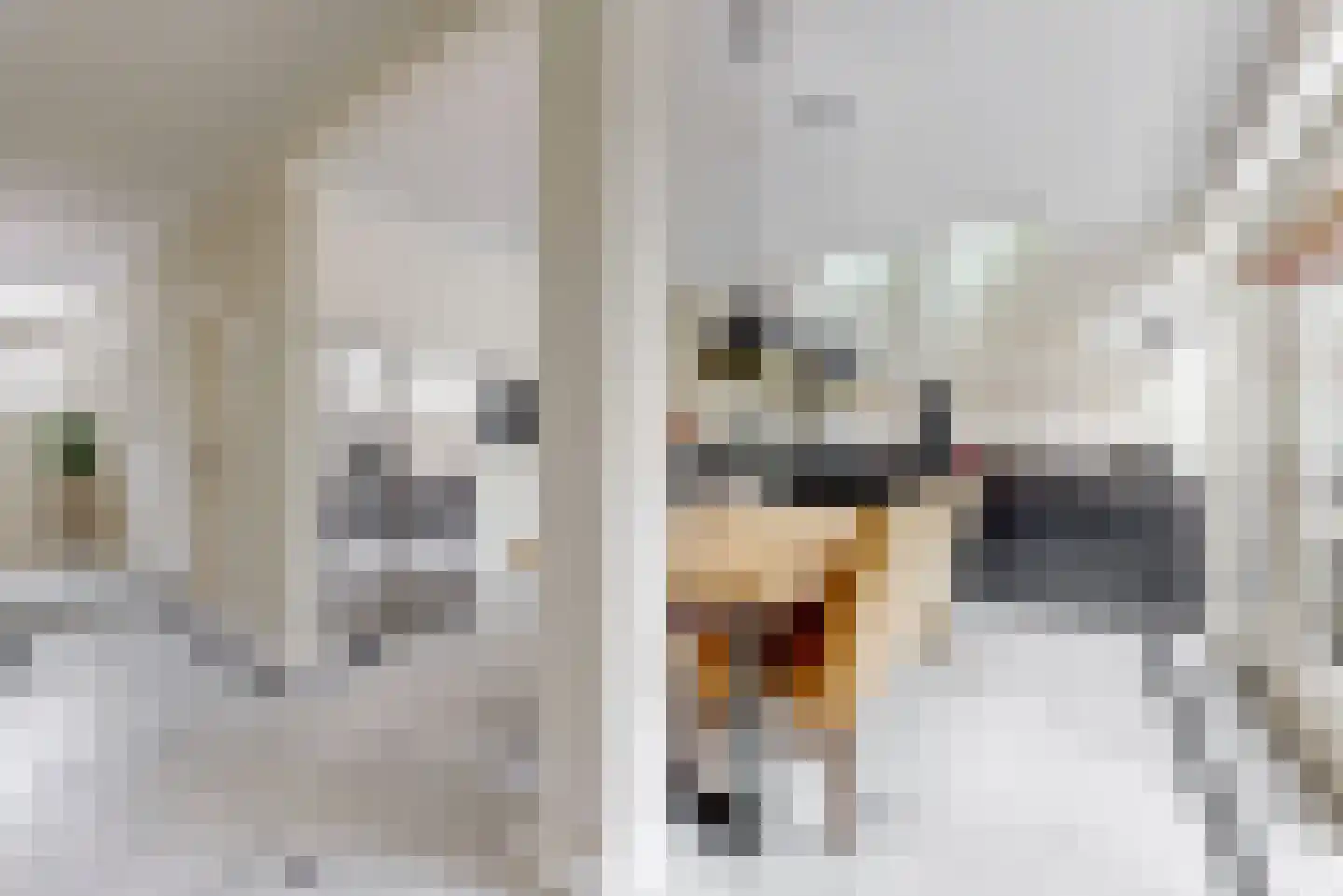Grote Oost 54 Hoorn thumbnail 7