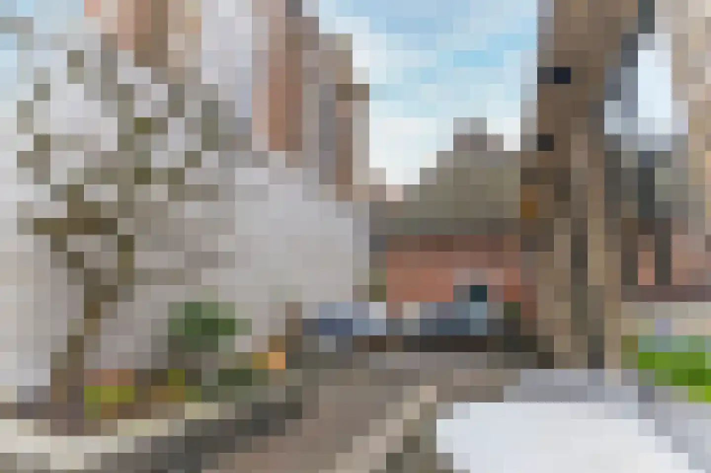 Grote Oost 64 Hoorn thumbnail 50