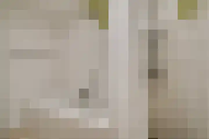 Grote Oost 7 C Hoorn thumbnail 14