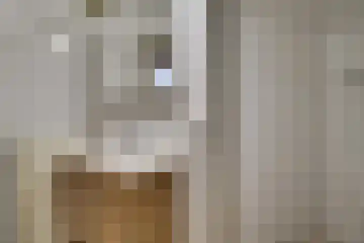 Grote Oost 7 C Hoorn thumbnail 15