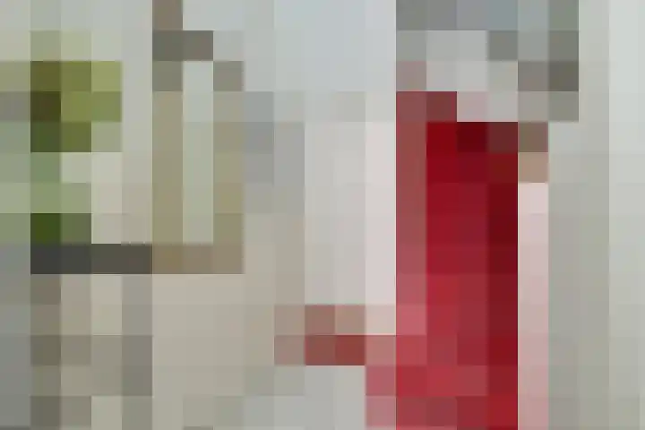 Grote Oost 7 C Hoorn thumbnail 28