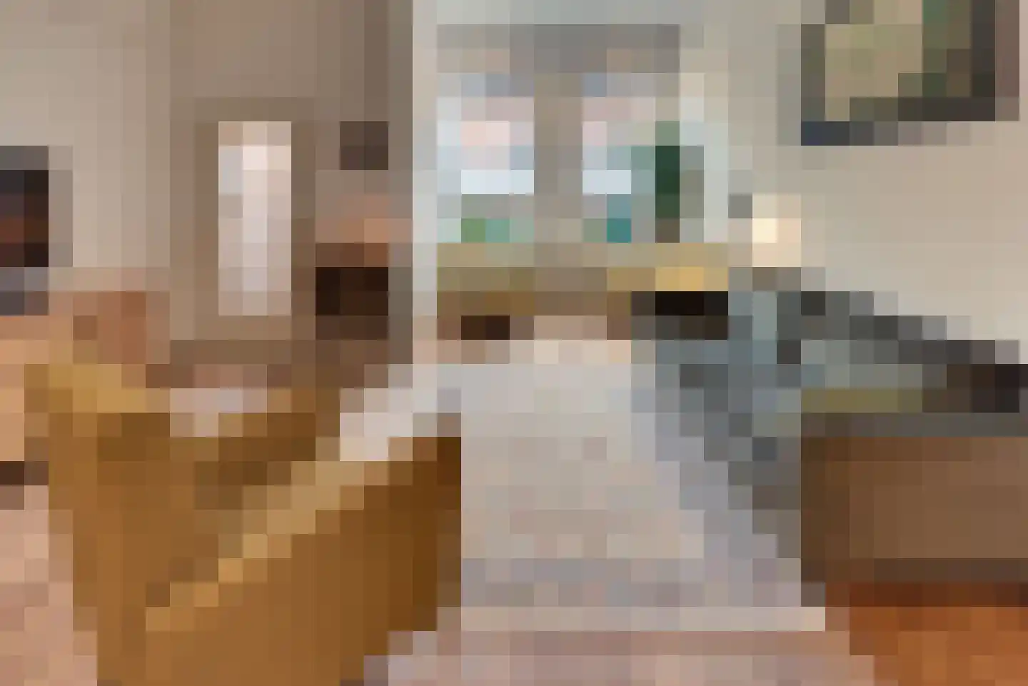 Grote Oosterwijck 24 Harderwijk thumbnail 10