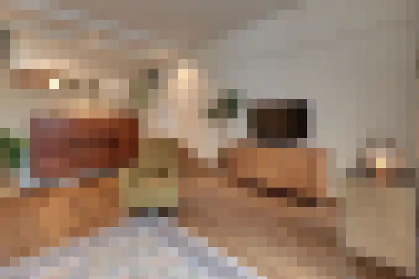 Grote Oosterwijck 24 Harderwijk thumbnail 14