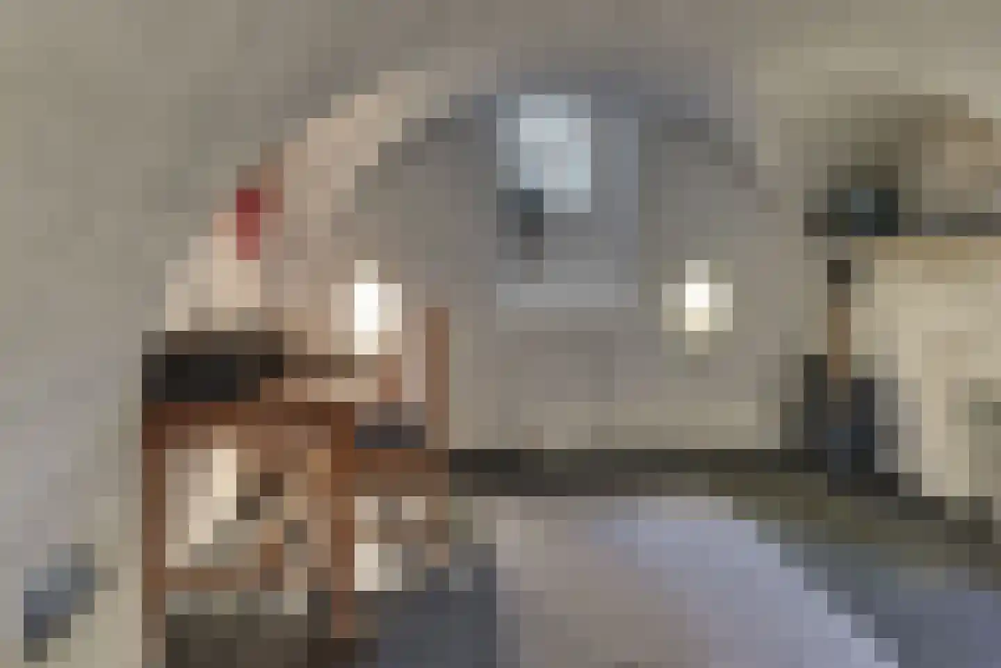 Grote Oosterwijck 24 Harderwijk thumbnail 18