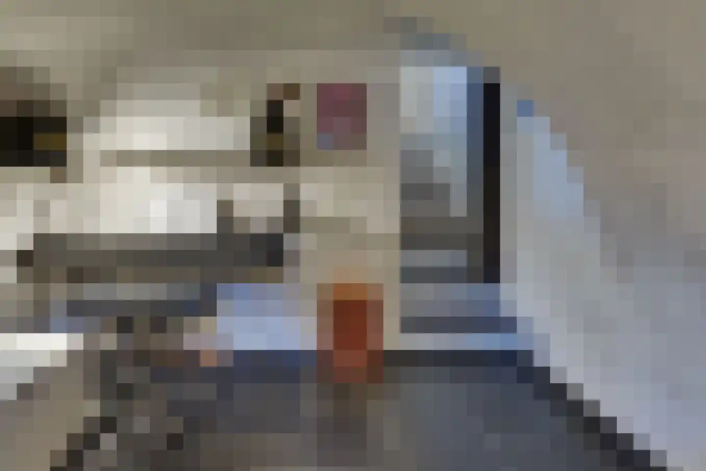 Grote Oosterwijck 24 Harderwijk thumbnail 19