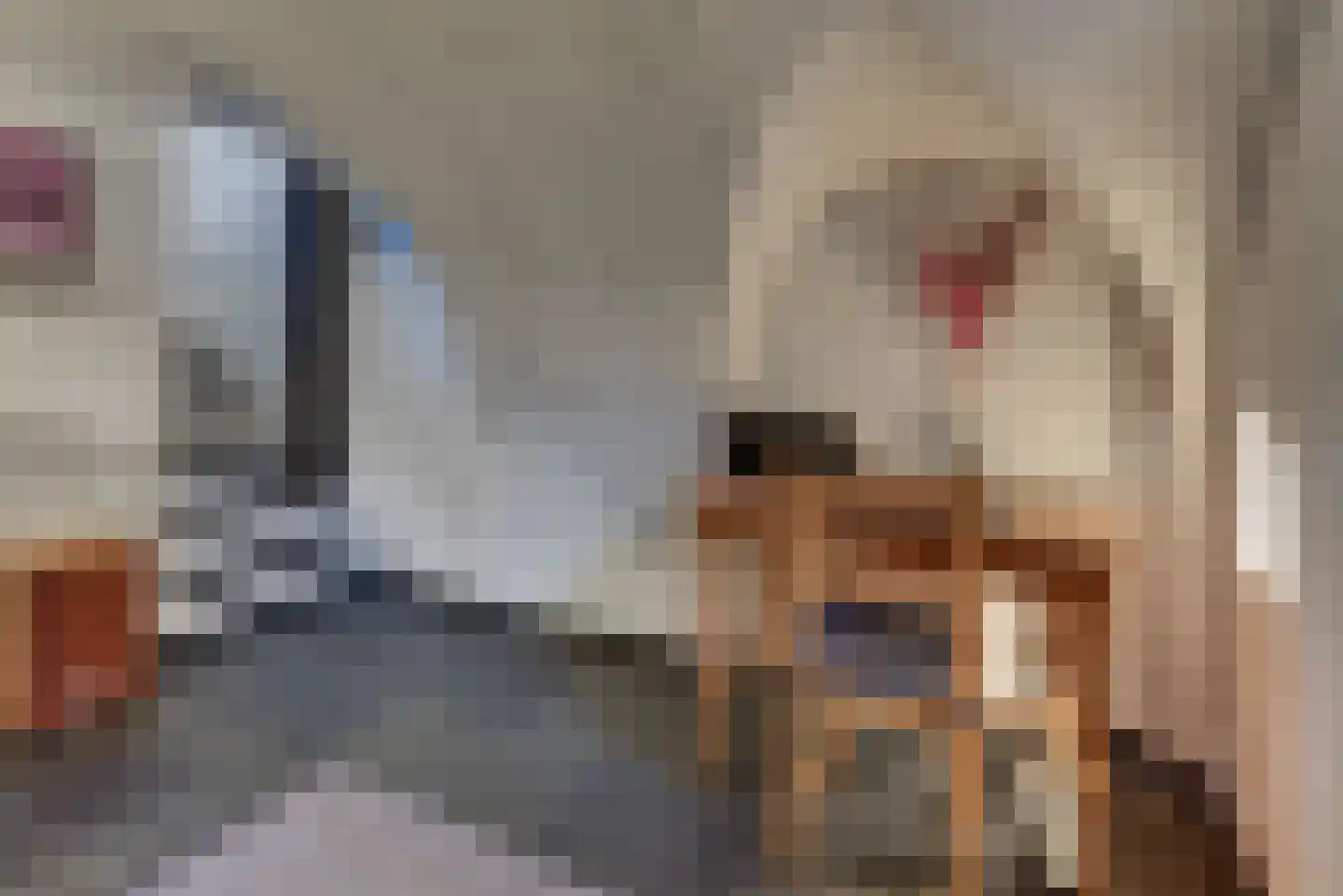 Grote Oosterwijck 24 Harderwijk thumbnail 20