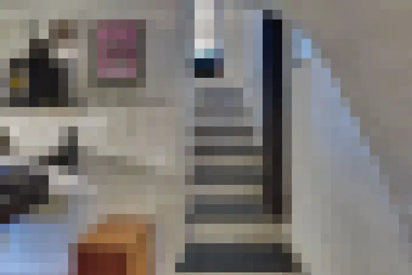 Grote Oosterwijck 24 Harderwijk thumbnail 21