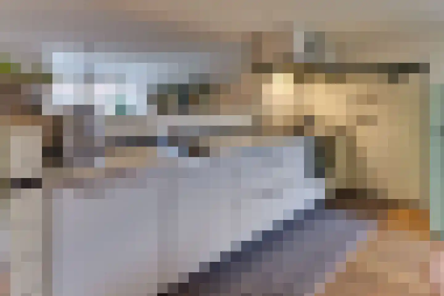 Grote Oosterwijck 24 Harderwijk thumbnail 27