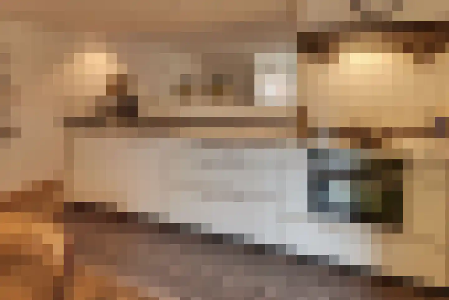 Grote Oosterwijck 24 Harderwijk thumbnail 28