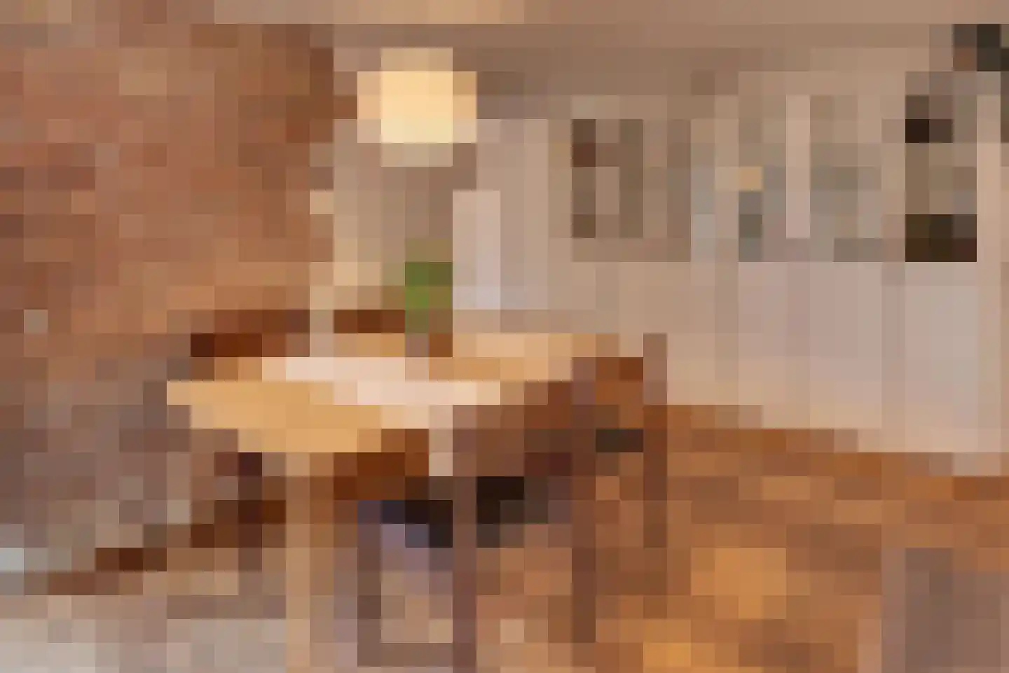 Grote Oosterwijck 24 Harderwijk thumbnail 30