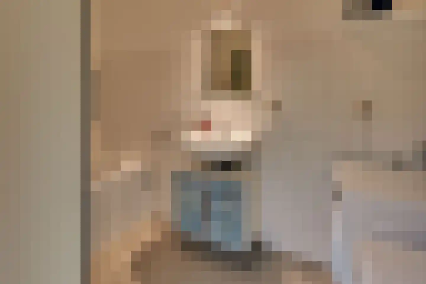 Grote Oosterwijck 24 Harderwijk thumbnail 34