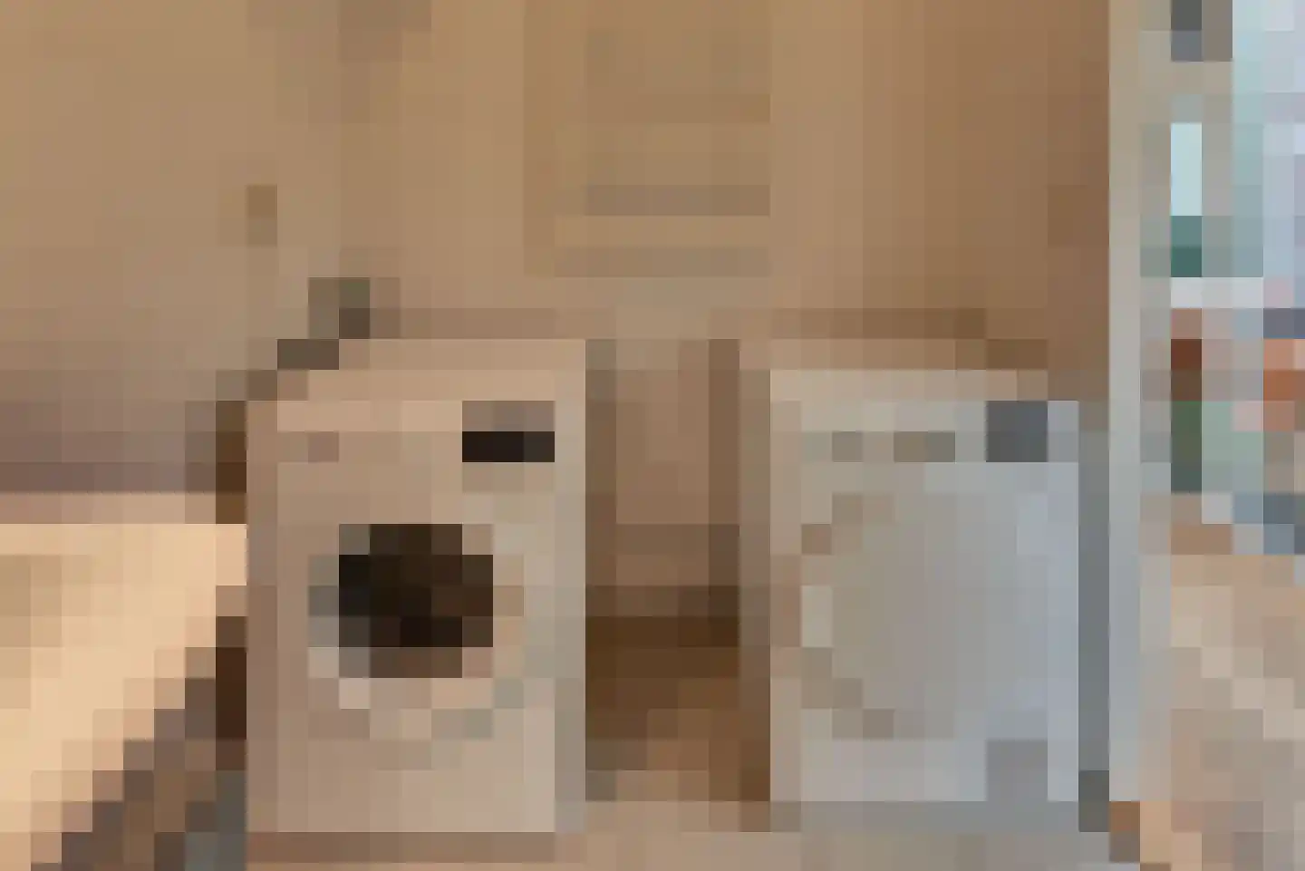 Grote Oosterwijck 24 Harderwijk thumbnail 36