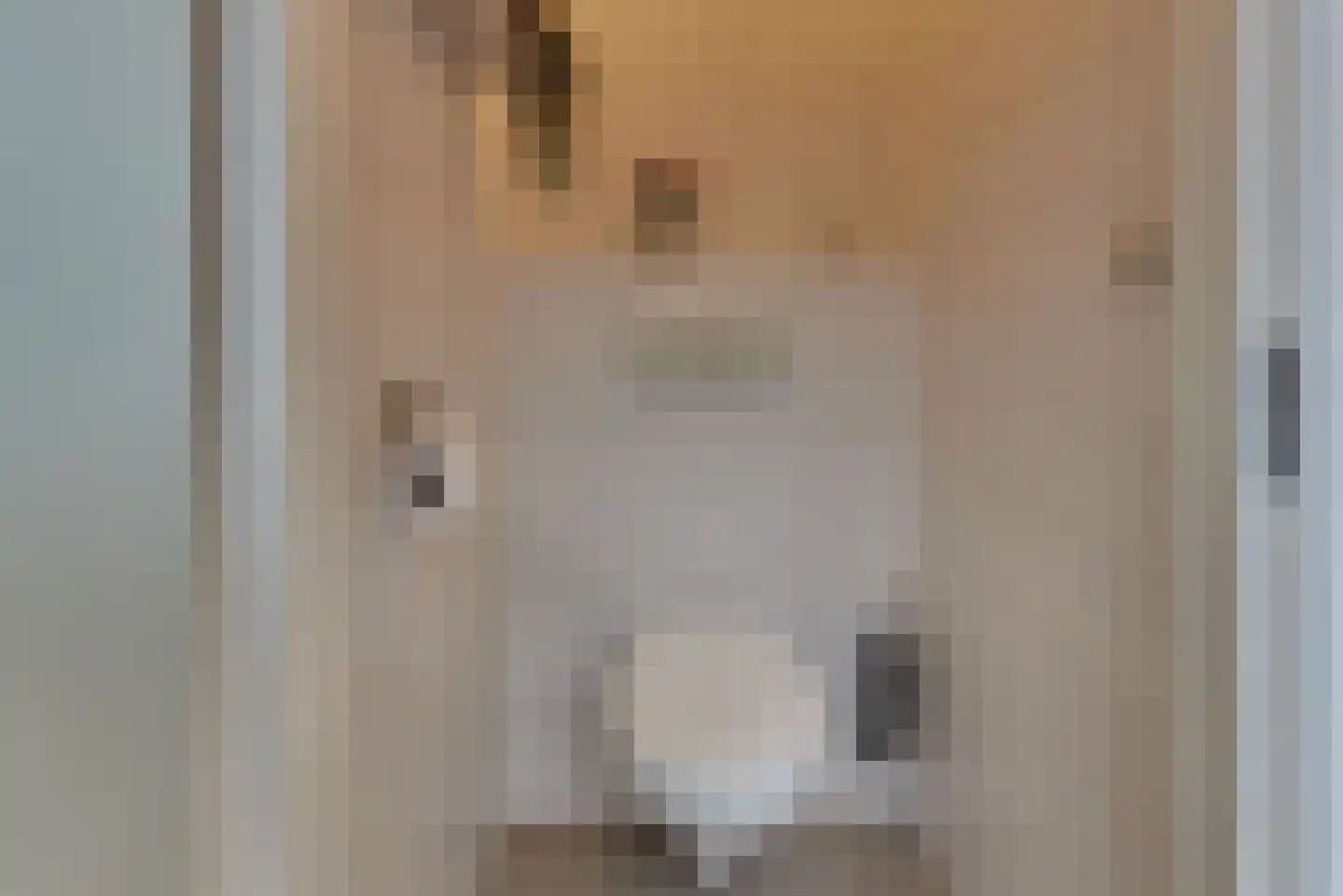 Grote Oosterwijck 24 Harderwijk thumbnail 37