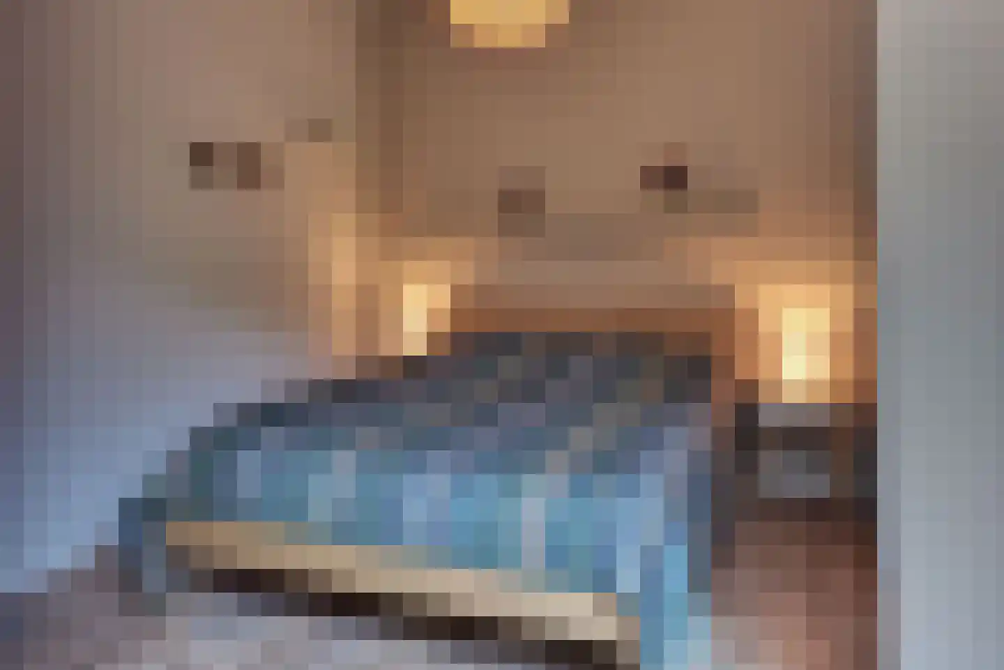 Grote Oosterwijck 24 Harderwijk thumbnail 39