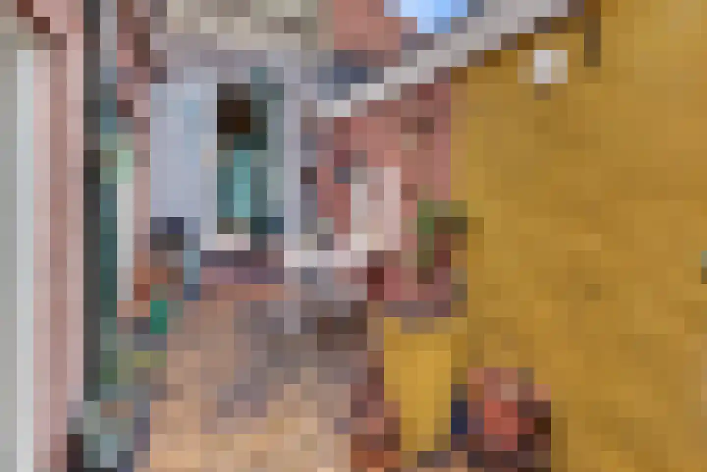 Grote Oosterwijck 24 Harderwijk thumbnail 50