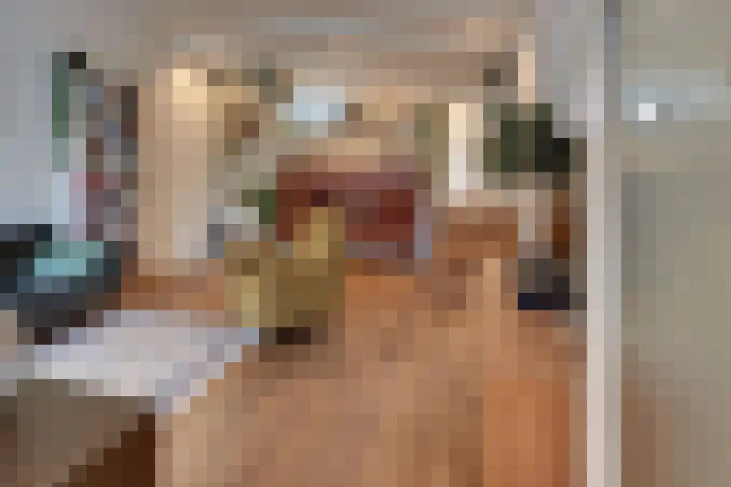 Grote Oosterwijck 24 Harderwijk thumbnail 8