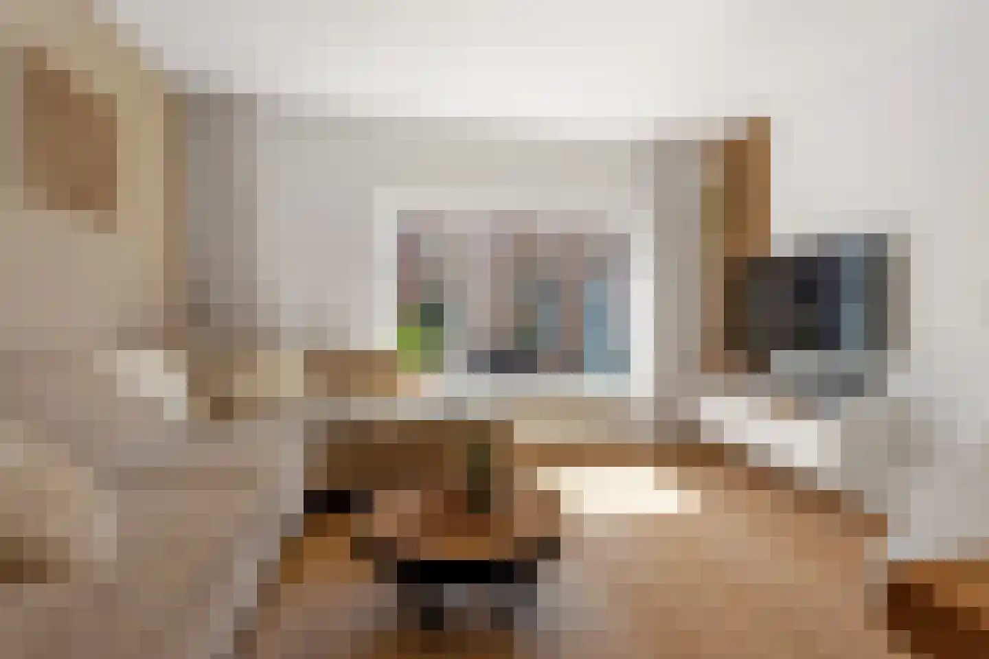 Grote Oosterwijck 25 A Harderwijk thumbnail 12