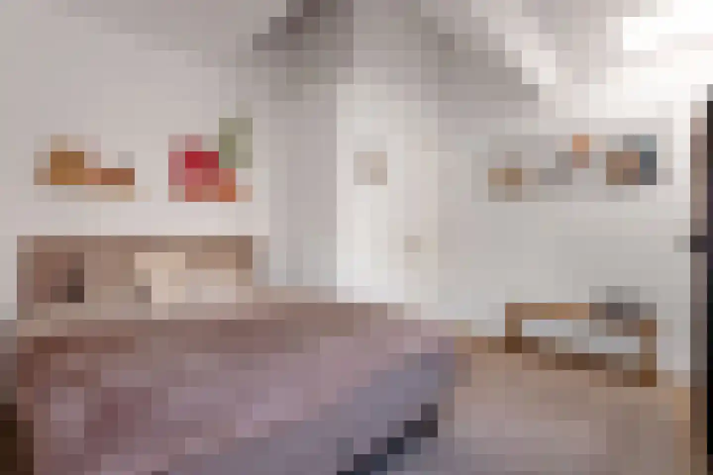 Grote Oosterwijck 25 A Harderwijk thumbnail 4
