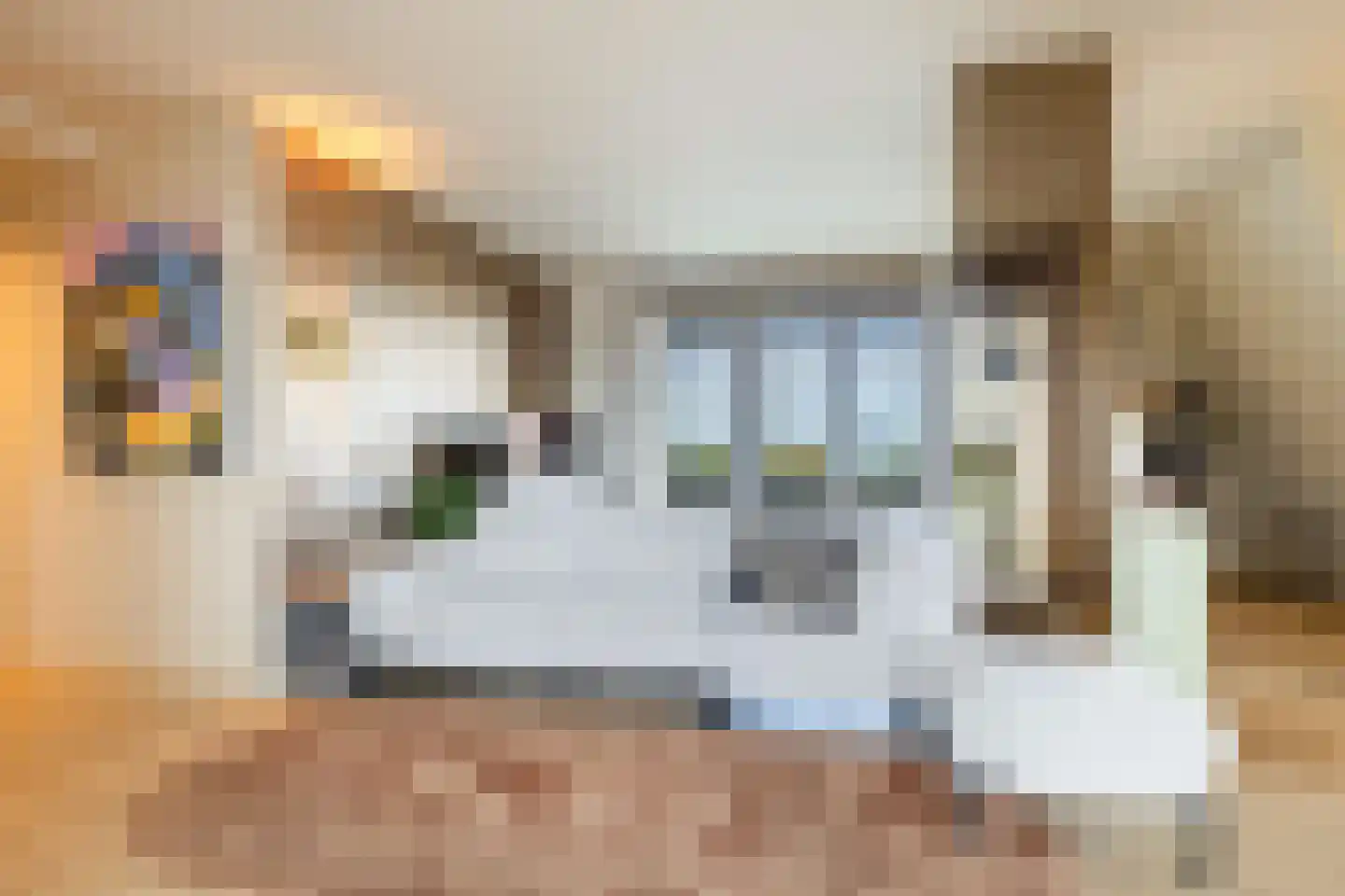 Grote Oosterwijck 37 Harderwijk thumbnail 11