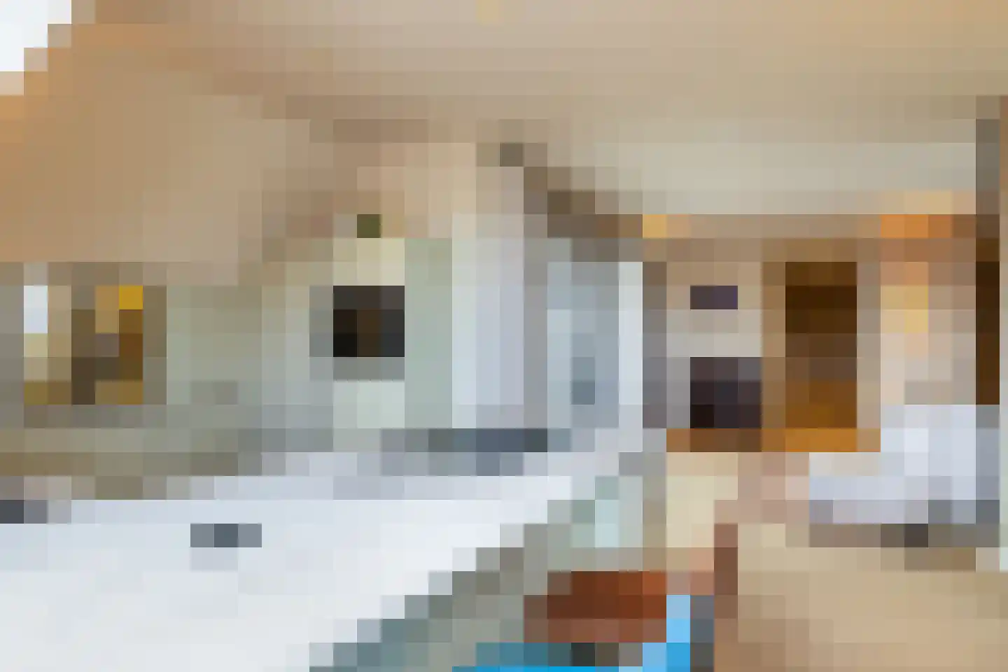 Grote Oosterwijck 37 Harderwijk thumbnail 22