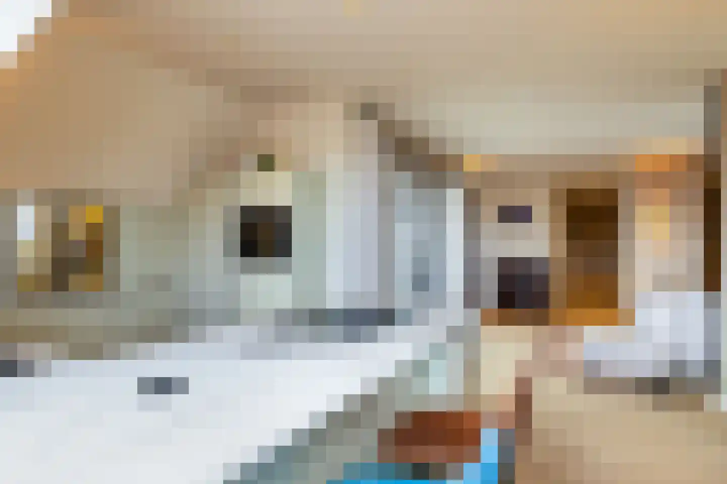 Grote Oosterwijck 37 Harderwijk thumbnail 22