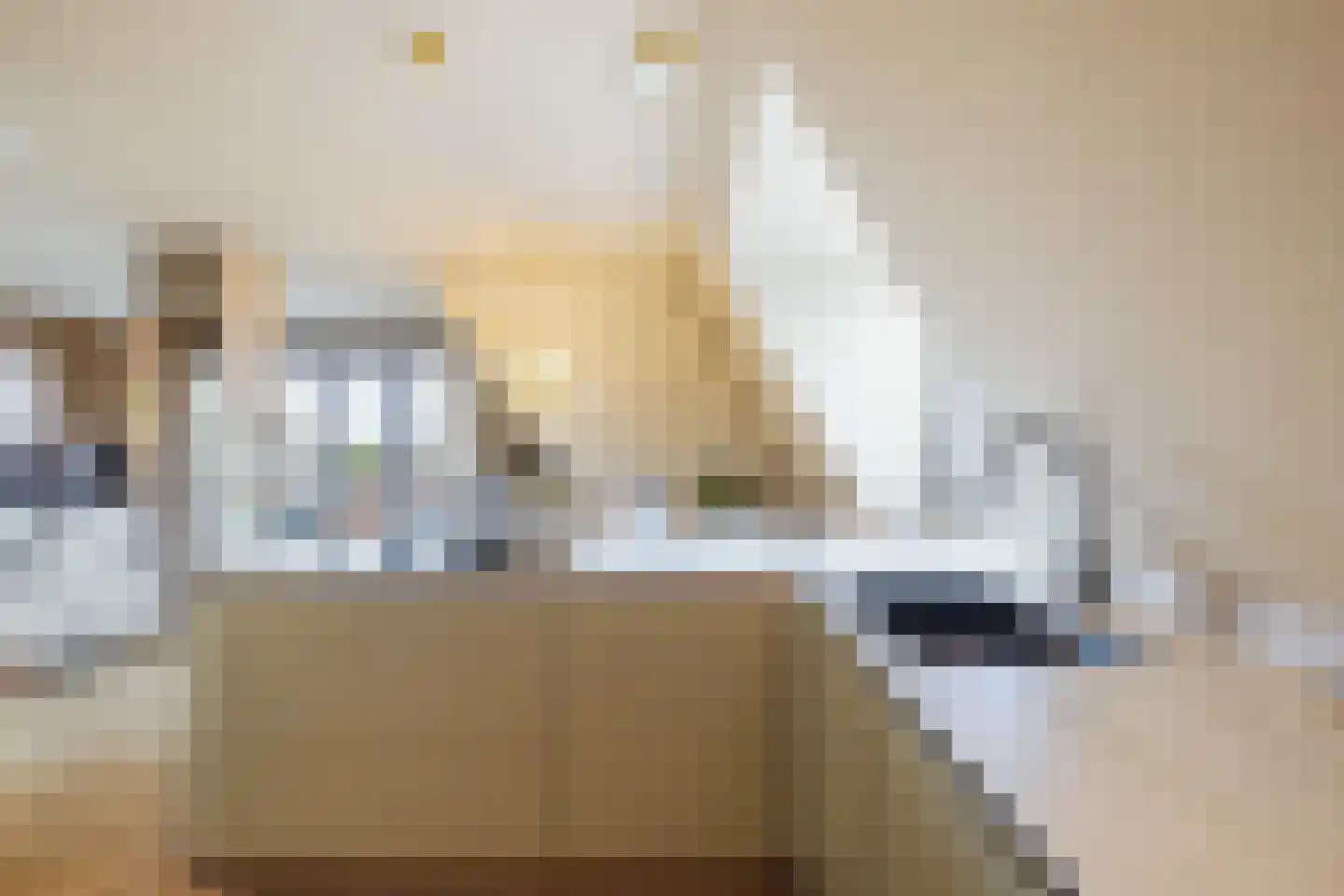 Grote Oosterwijck 37 Harderwijk thumbnail 30