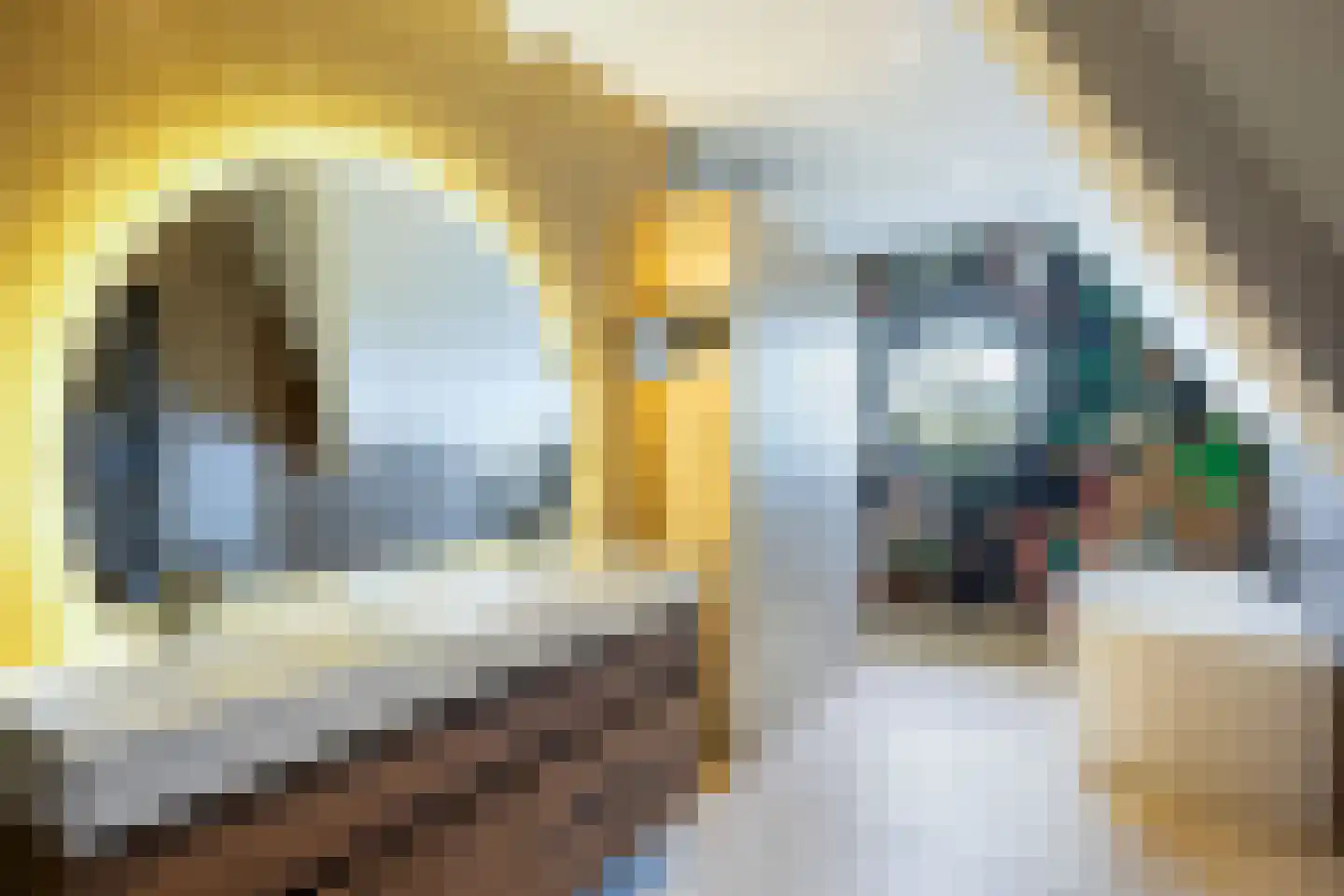 Grote Oosterwijck 37 Harderwijk thumbnail 43