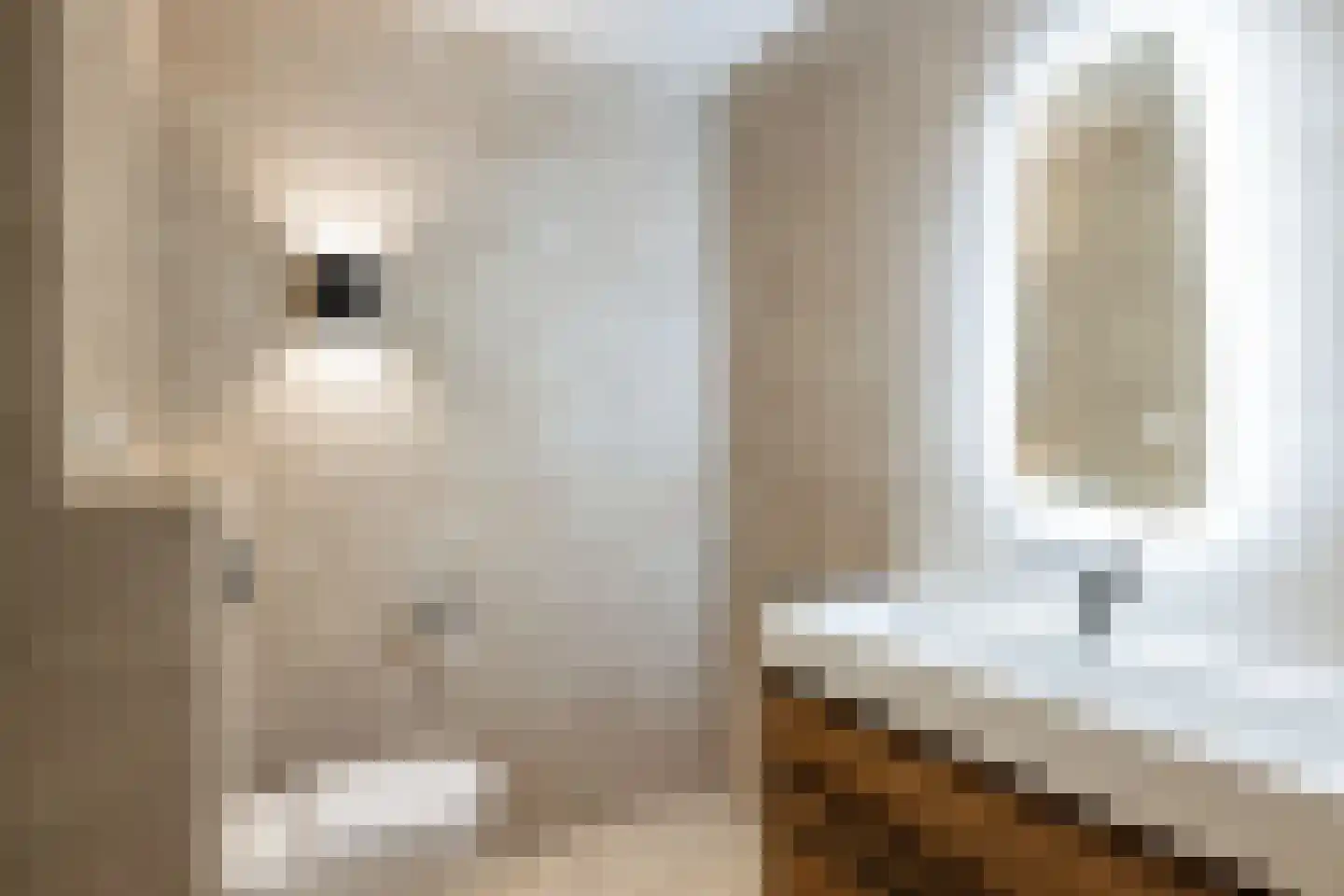 Grote Oosterwijck 37 Harderwijk thumbnail 49