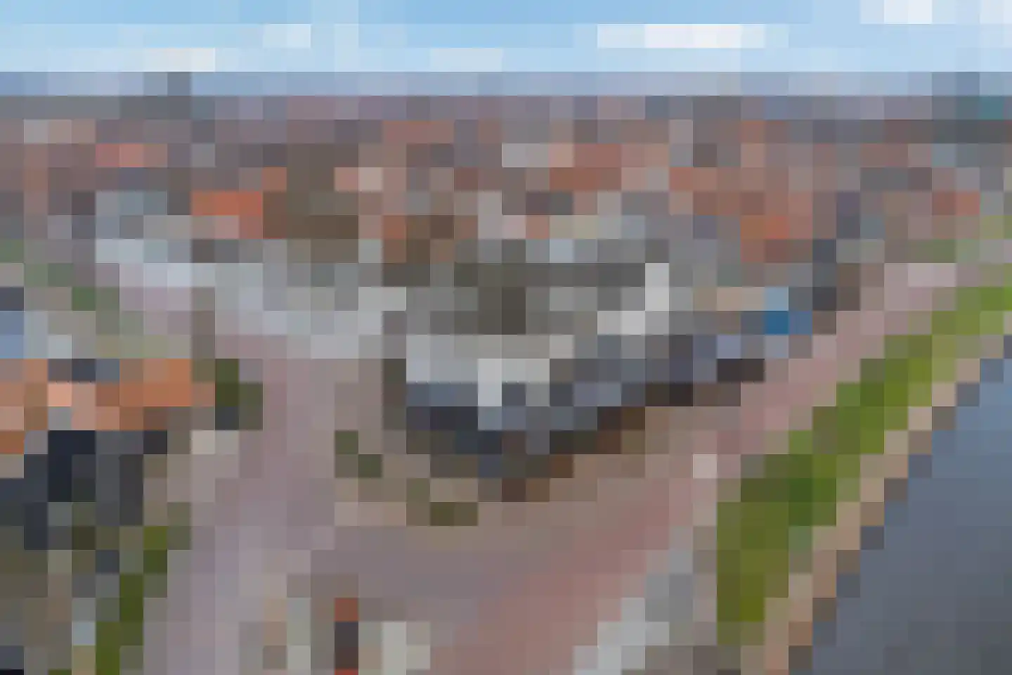 Grote Oosterwijck 37 Harderwijk thumbnail 60