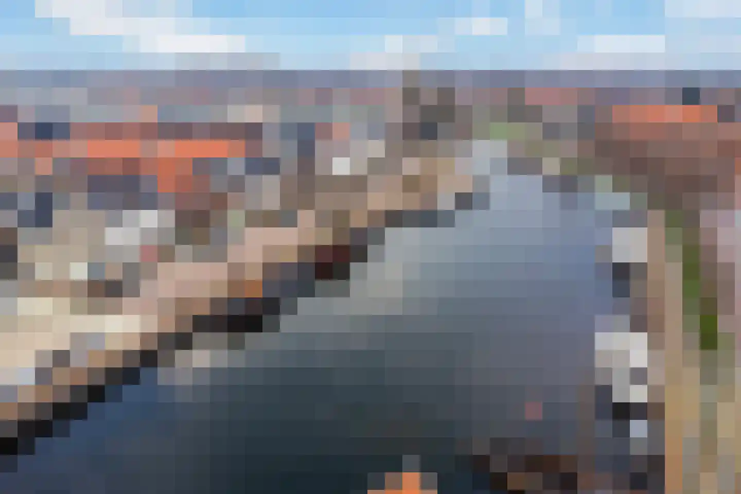 Grote Oosterwijck 37 Harderwijk thumbnail 61