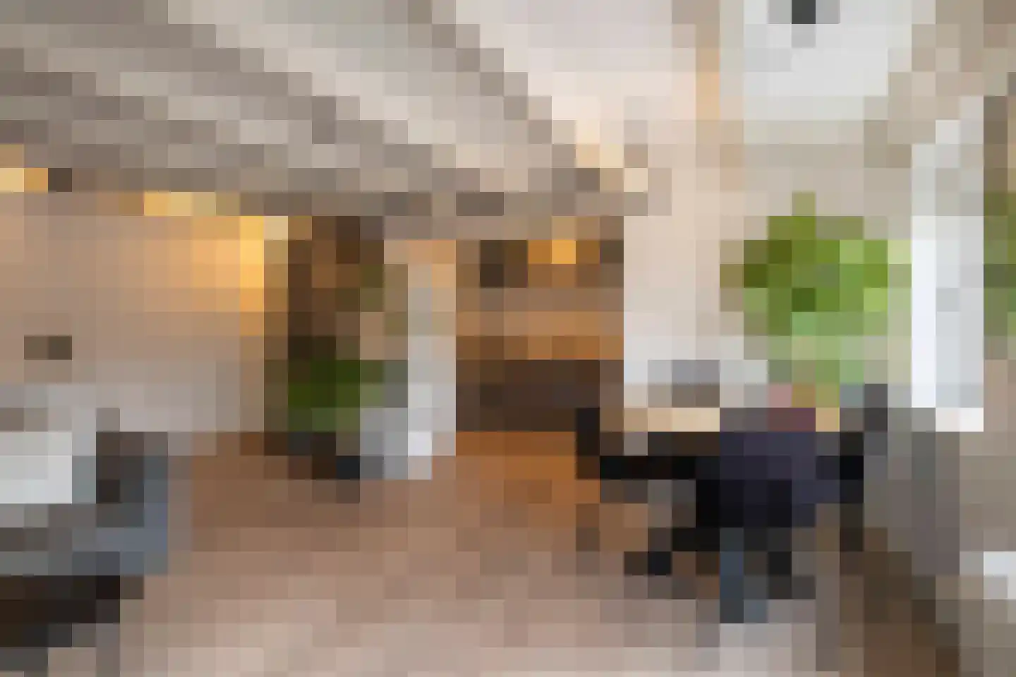 Grote Overstraat 50 E Deventer thumbnail 9