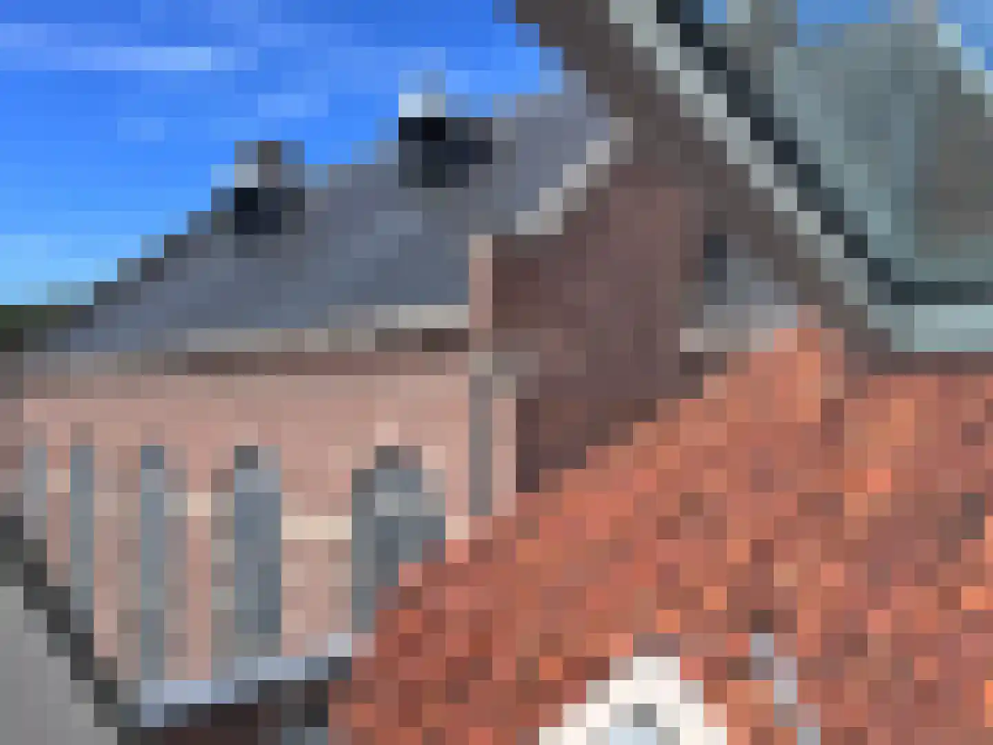 Grote Overstraat 67 G Deventer thumbnail 24