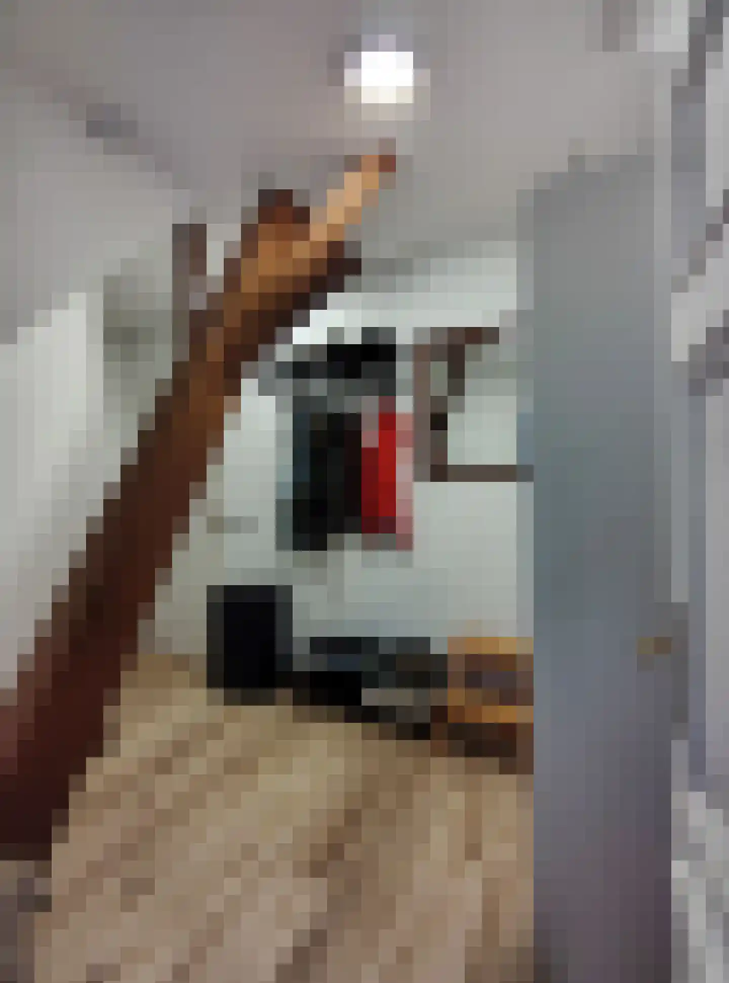 Grote Overstraat 67 G Deventer thumbnail 8