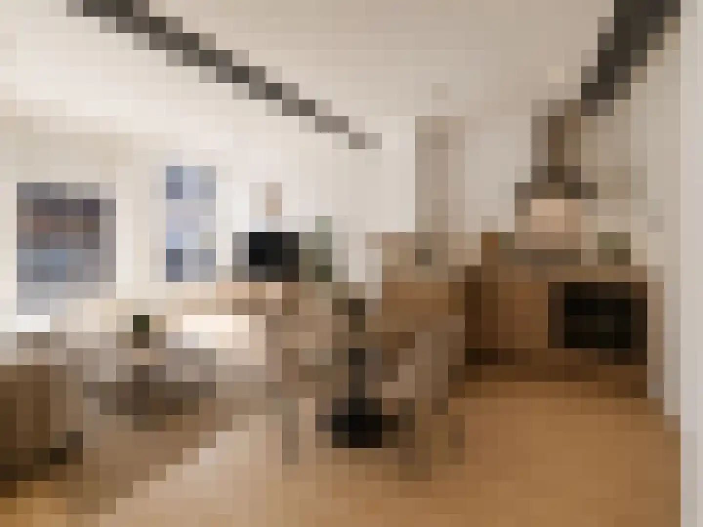 Grote Overstraat 73 Deventer thumbnail 8