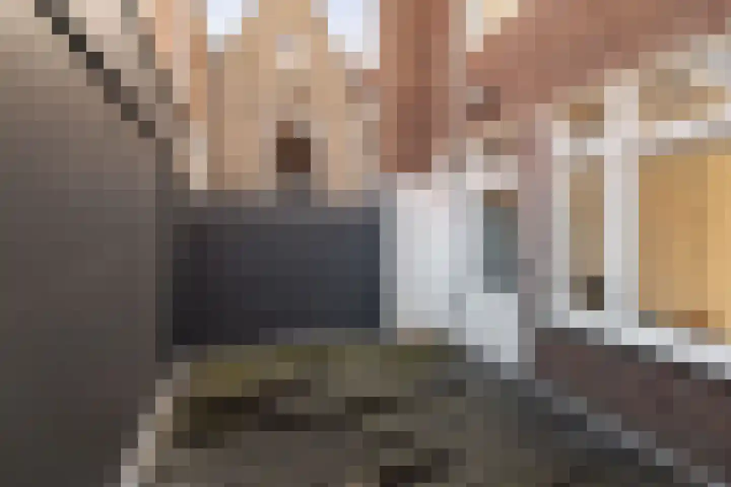 Grote Overstraat 79 Deventer thumbnail 24