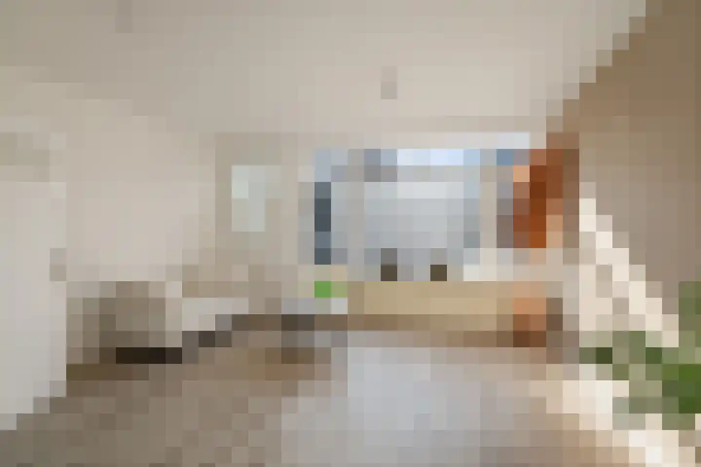 Grote Overstraat 79 Deventer thumbnail 4