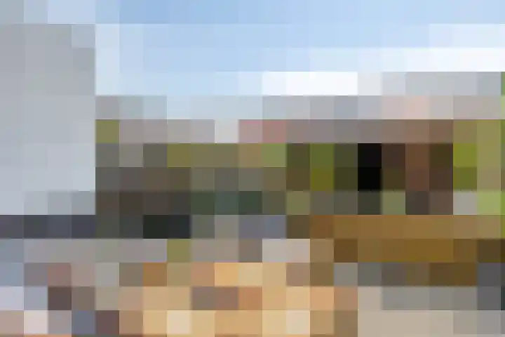 Grote Pagestraat 23 Rosmalen thumbnail 24