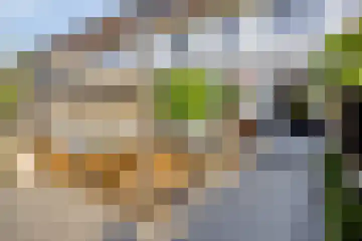 Grote Pagestraat 23 Rosmalen thumbnail 25