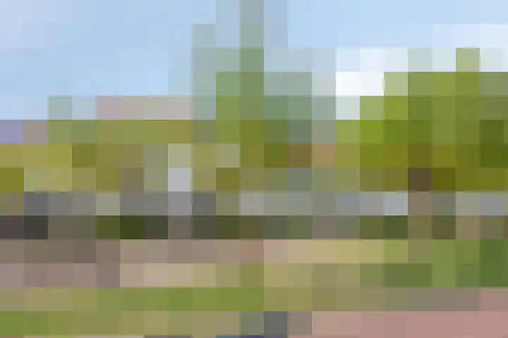 Grote Pagestraat 23 Rosmalen thumbnail 29