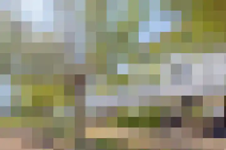 Grote Pagestraat 23 Rosmalen thumbnail 30