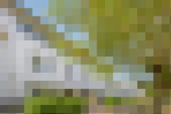 Grote Pagestraat 23 Rosmalen thumbnail 32