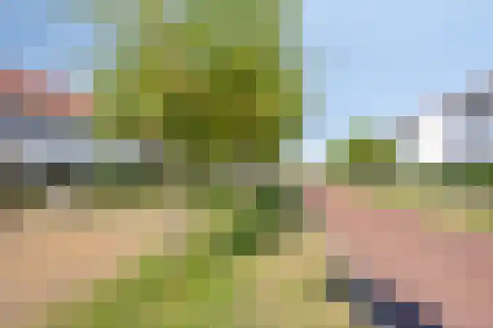 Grote Pagestraat 23 Rosmalen thumbnail 35